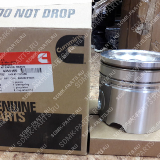 Поршень в сборе (кольца, палец) Cummins QSB4,5 4955160 2